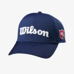 wilson_mesh_golfo_kepure